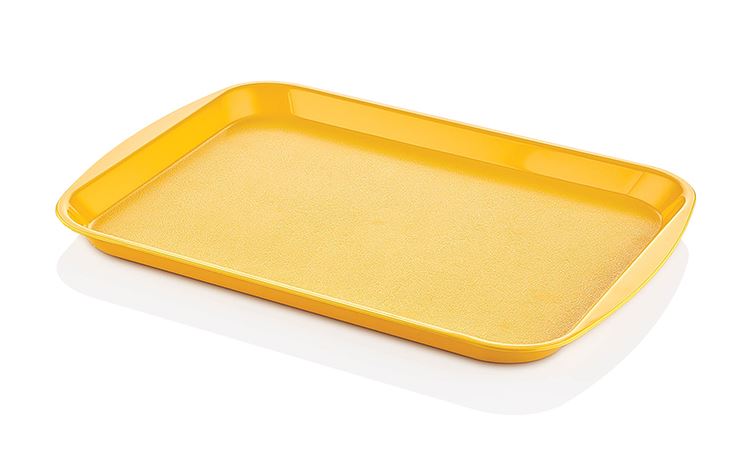 ABS PLASTİK TEPSİ 27*36cm